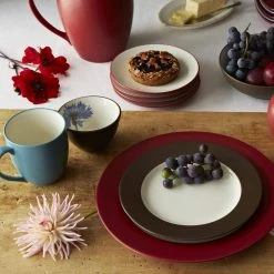 Colorwave Raspberry Red Stoneware Coupe Dinner Plate 10-1/2 in. (Set of 4) by Noritake -Cheap Noritake Store raspberry noritake dinner plates 8045 406d 1f 1000